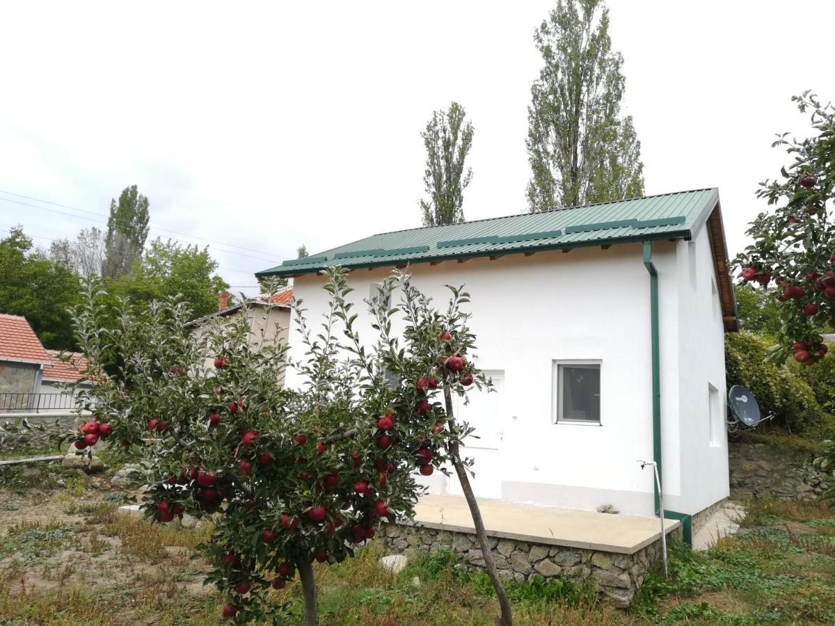 Villa Lila Dolno Dupeni Buitenkant foto