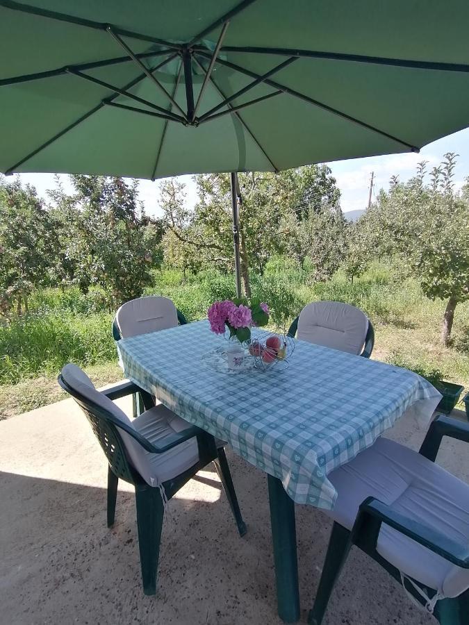 Villa Lila Dolno Dupeni Buitenkant foto