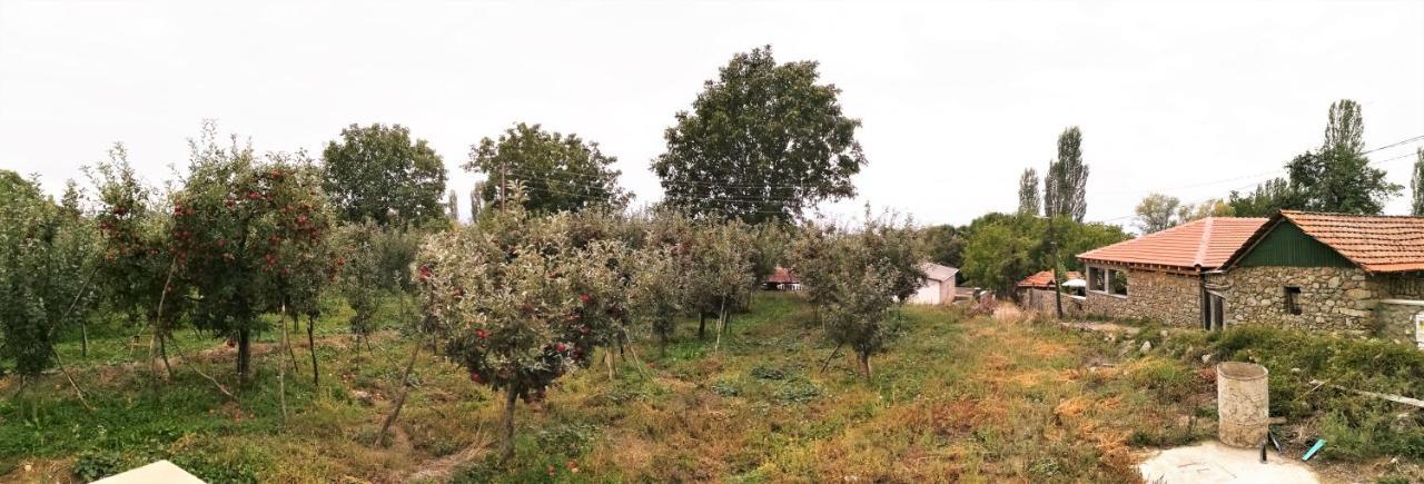 Villa Lila Dolno Dupeni Buitenkant foto