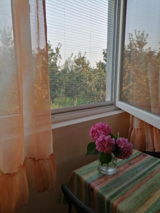 Villa Lila Dolno Dupeni Buitenkant foto